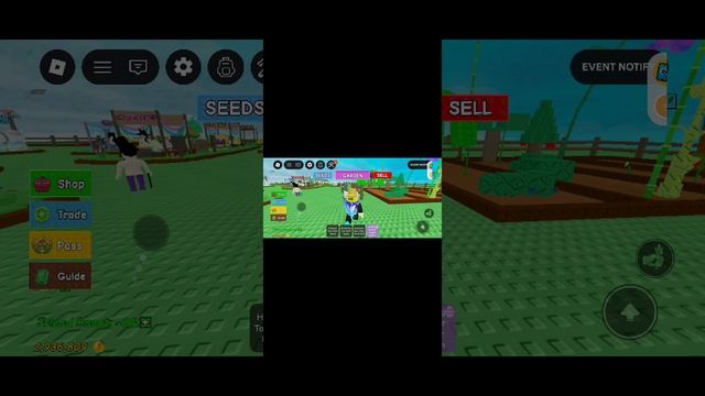 стрим вырасти сад кабана