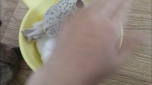 басик и снег