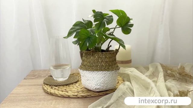 Искусственное растение МОНСТЕРА В ПЛЕТЁНОМ КАШПО, 26 см, 801337-2