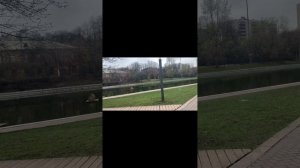 Прогулка в парк, грустненько.. это к какой-то радости! Однозначно .