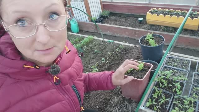 Видео привет с 6 соток 16 апреля 2026 года.