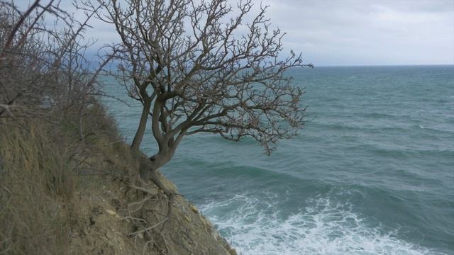 М о р с к а я