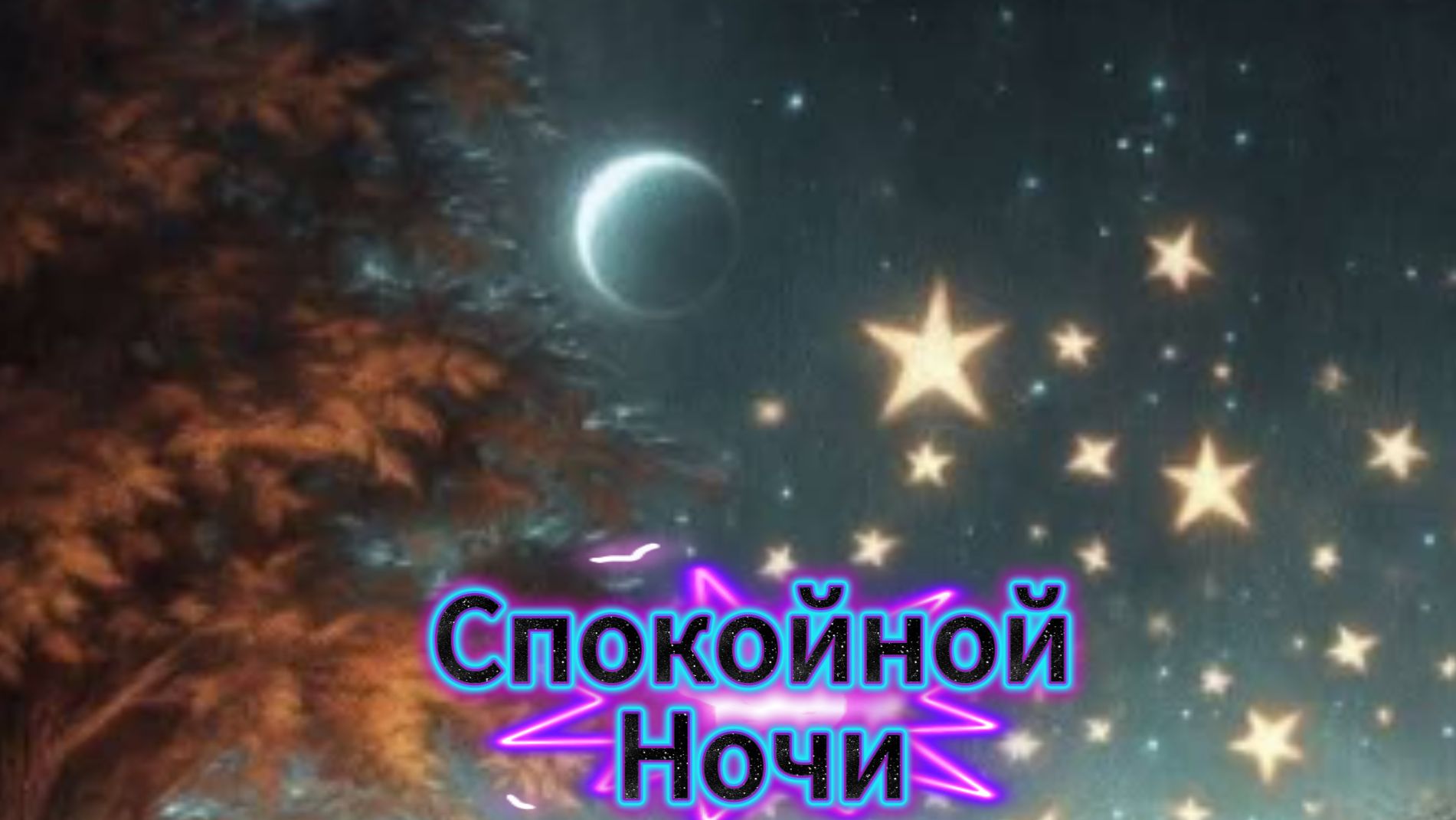 Спокойной ночи: сладких снов, пожелания и пусть будет ночь | Домохозяйка