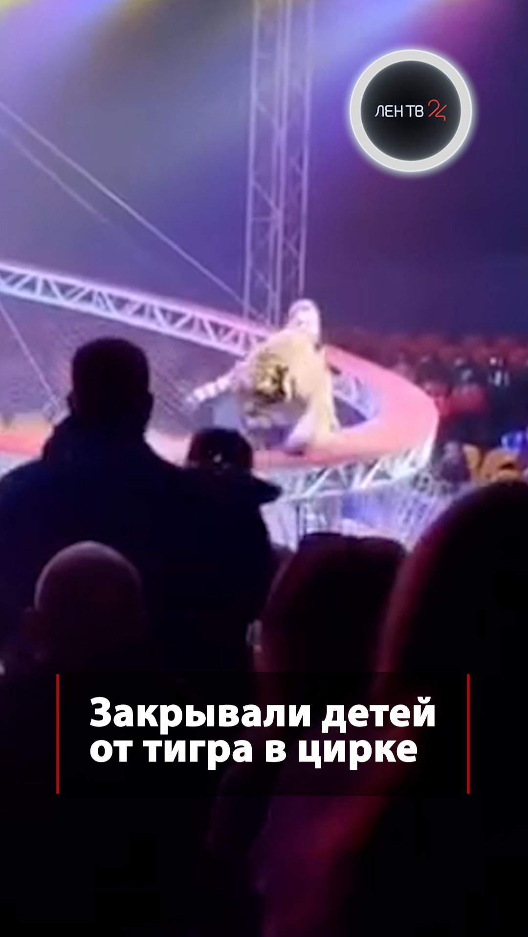 Закрывали детей от тигра в цирке