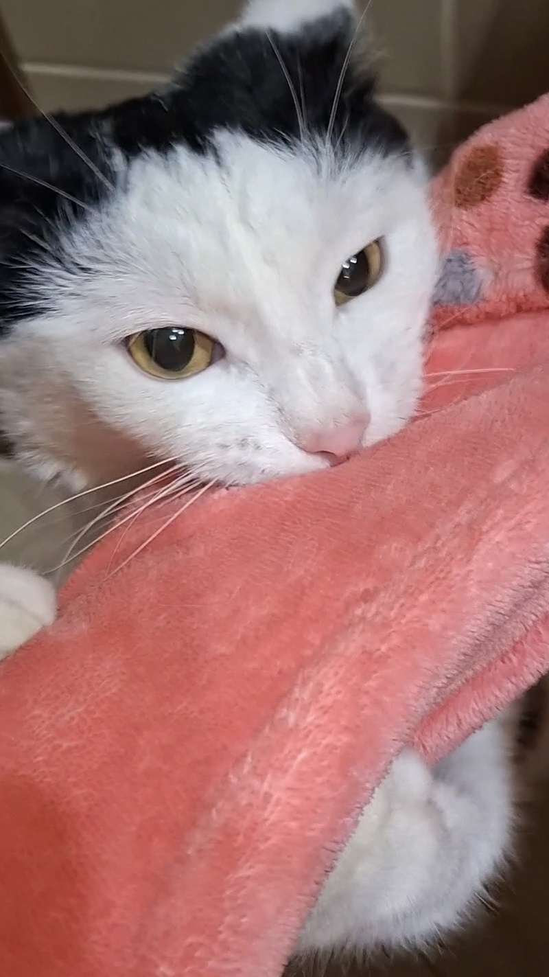 Маленький злюка