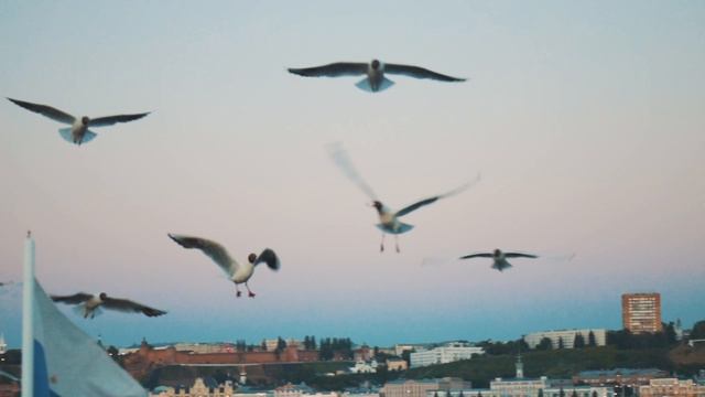 теплоход ЛИНДА