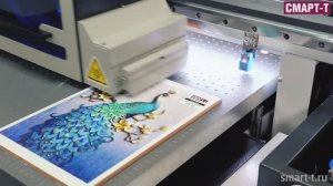 Sprinter DPP-A1E, печать на различных материалах