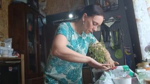 Новые жильцы. Спасаю розы. Уборка участка.