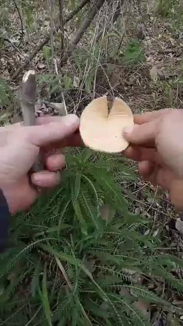 Видео от Походы Выживание Бушкрафт