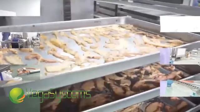 Шкаф для сушки овощей и фруктов Вега/Vega Dry System 480