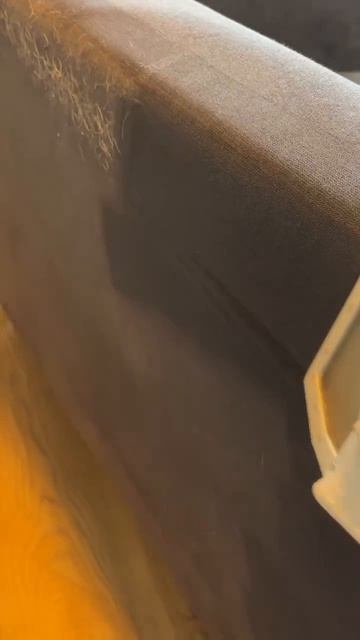 Профессиональная химчистка дивана на дому от Проф Клин.