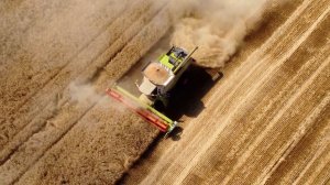 В Краснодарском крае под озимые культуры отвели 1,8 млн гектаров