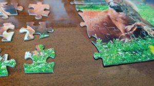 Поможем детям сиротам вместе.