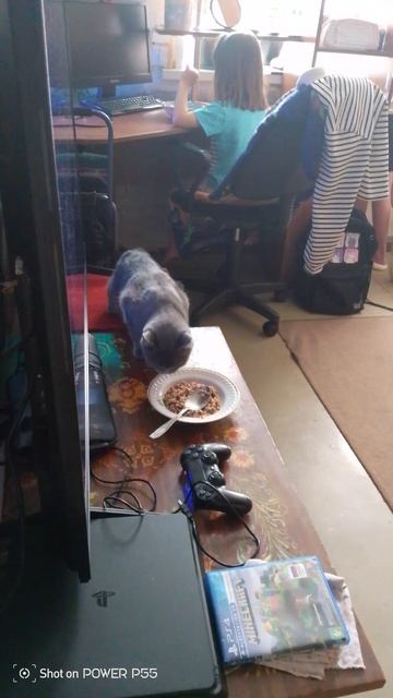 Сима ест гречку😉 ✌😂😂😂