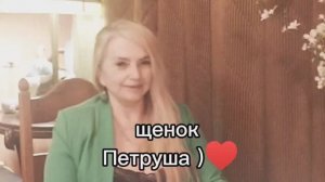 Щенок Петруша 2 Моя новая сказочка 😊