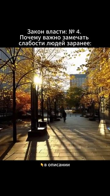 Закон власти № 4