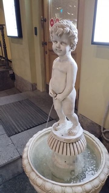 🌞❤️🌿Вечерний Питер! Песня Елизаветы Лаптевой 