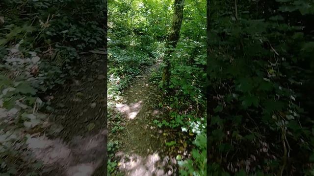 3800 отметка, продолжаем подъём на гору Медведь в Архипо-Осиповке