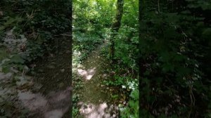 3800 отметка, продолжаем подъём на гору Медведь в Архипо-Осиповке