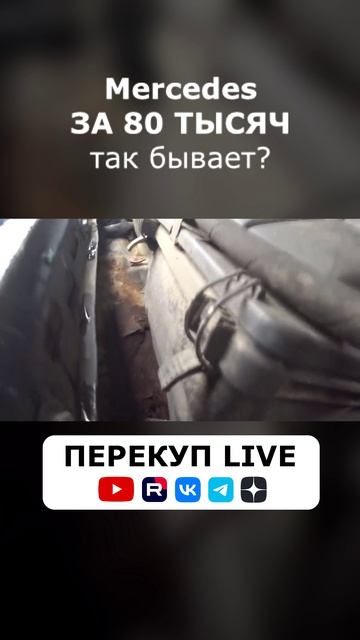 Нашли МЕРС за 80 тысяч. Чего?