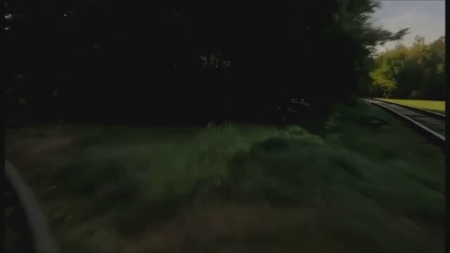 Весело тут - у нас...