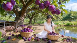 Собираю много слив и тыкв на ферме, используйте грузовики для перевозки урожая на деревенский рынок.