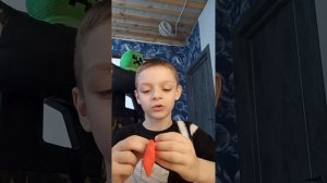 собрать всю коллекцию Монстриков