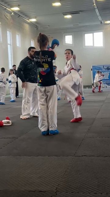 Семинар под руководством Мешева Азамата Аркадьевича