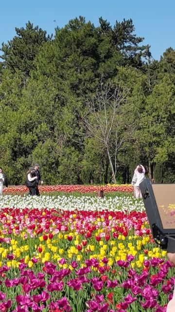 Подсмотрела!