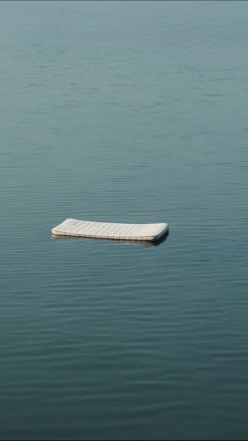 Покружаясь на воде: безмятежный момент #отдых #природа #водоем