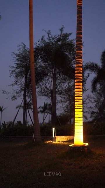 Грунтовой ландшафтный светильник для круговой подсветки колонн и деревьев серия SM и BS