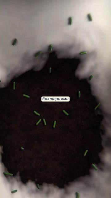 Эти привычки разрушают ваши зубы