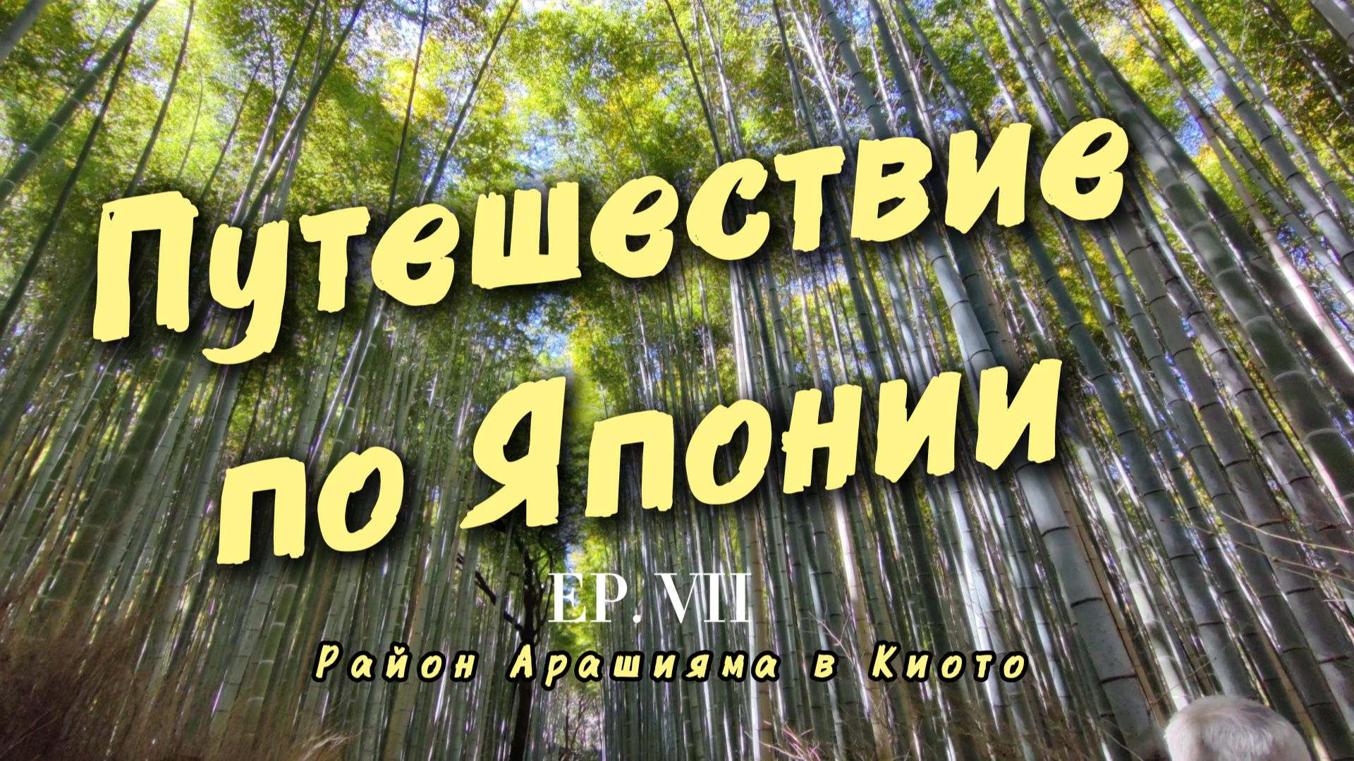 Арашияма в Киото