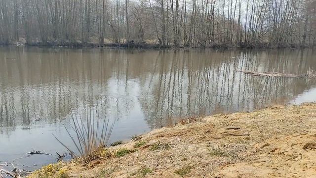 VID_20260408_144450.mp4