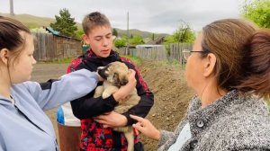 Любовь с первого взгляда