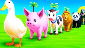 Мультики про диких животных. Дикие животные и веселые браинроты. Смотреть онлайн Мультики для детей.