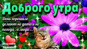 С ДОБРЫМ УТРОМ ПОНЕДЕЛЬНИКА!