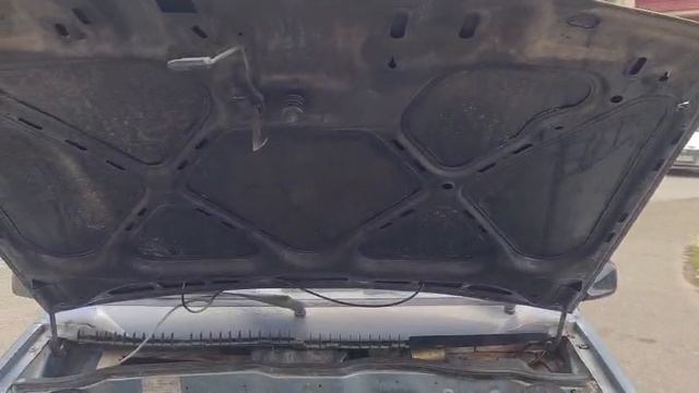 VID-20260420-WA0010.mp4