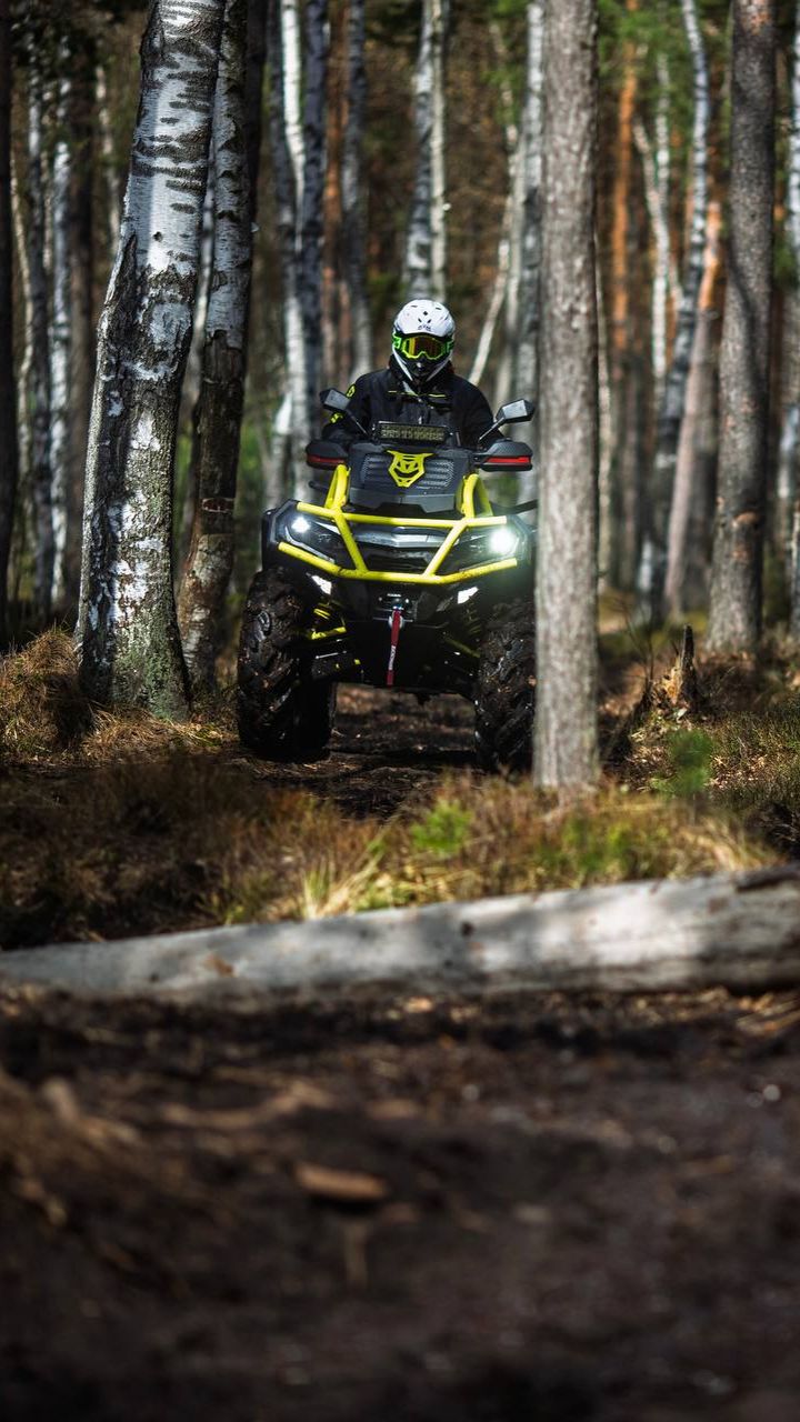 Запасной вариант даже интереснее 😅