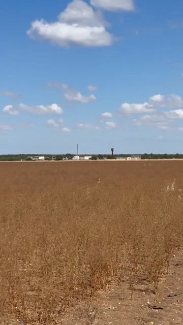 Продажа земельного участка в Крыму