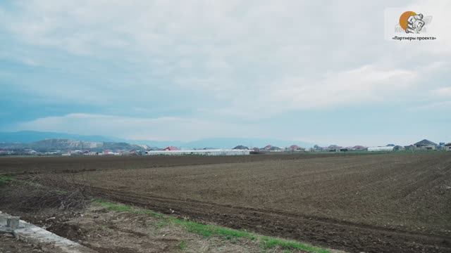 Картофельное хозяйство Азербайджана: интервью с Заманом Мамедовым | IPT