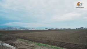 Картофельное хозяйство Азербайджана: интервью с Заманом Мамедовым | IPT