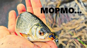 Мормышинг на весенних ручьях. Голавль, красноперка, окунь, язь, щука