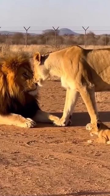 Не смей бить ребёнка