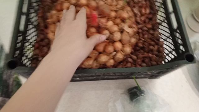 дела домашние 20апреля