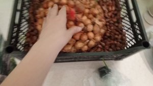 дела домашние 20апреля