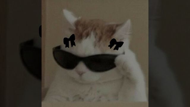 всем привет