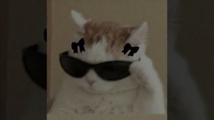 всем привет