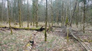 Как перестать бояться дp@кu