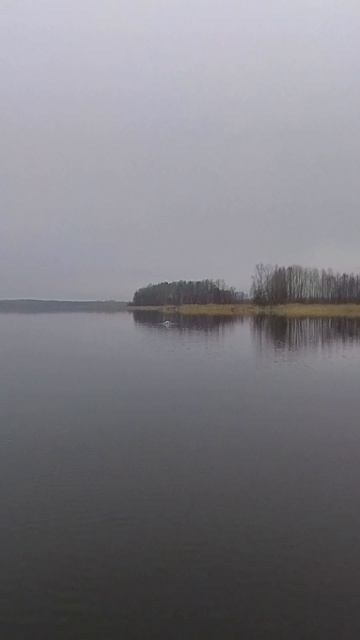 Получили креативный отзыв от нашего китовода! 🔥